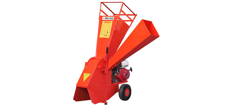 BIO 80