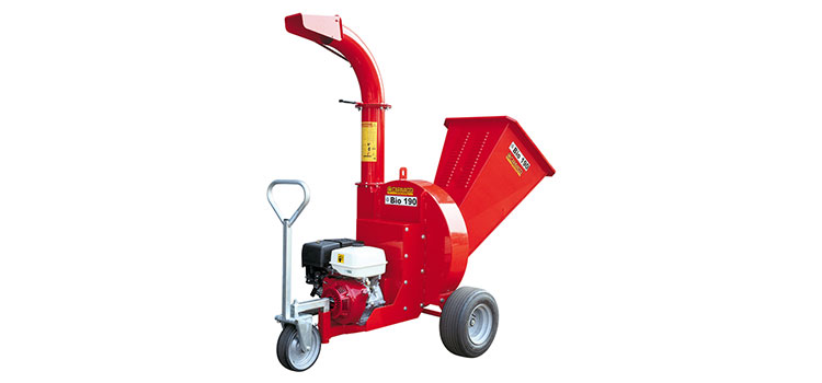 BIO 190 cippo